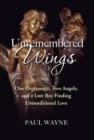Unremembered Wings - Book