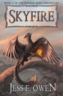 Skyfire : Book II of the Summer King Chronicles - Book