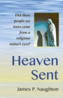 Heaven Sent : My Family's Remarkable Encounter with the Virgin Mary - Book