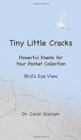 Tiny Little Cracks : Powerful Poems for Your Pocket Collection: Bird's Eye View - Book