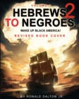 Hebrews to Negroes 2 : WAKE UP BLACK AMERICA! Volume 1 - Book