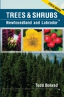 Trees & Shrubs of Newfoundland & Labrador : Field Guide - Book