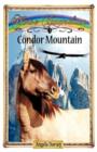 Condor Mountain - Book