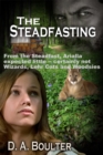 Steadfasting - eBook