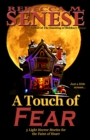 Touch of Fear: 5 Light Horror Stories for the Faint of Heart - eBook