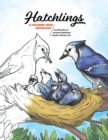 Hatchlings : A Coloring Book Anthology - Book