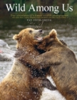 Wild Among Us : True adventures of a female wildlife photographer who stalks bears, wolves, mountain lions, wild horses and other elusive wildlife - Book