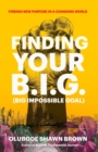 Finding Your B.I.G. - Book