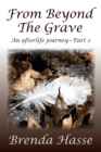 From Beyond The Grave : An afterlife journey Part 2 - Book