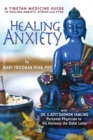 Healing Anxiety : A Tibetan Medicine Guide to Healing Anxiety, Stress and PTSD - Book