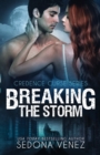 Breaking the Storm - Book