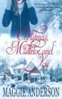 Christmas, Mistletoe and You : A Christmas Romance Novella - Book
