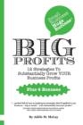 Small Business Huge Success - Big Profits! : 12 Strategies to Substantially Grow Your Business Profits - Book