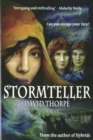 Stormteller - Book