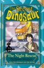 The Secret Dinosaur : The Night Rescue Book 4 - Book