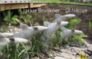 Jackie Brookner : Of Nature - Book