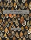 Icons of Evolution : Pacific Island Tree-Snails of the Family Partulidae - Book