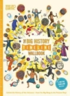 The Big History Timeline Wallbook - Book