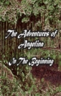 The Adventures of Angelina : In the Beginning - Book