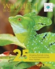 Wildlife In Central America 1 : 25 Amazing Animals Living in Tropical Rainforest and River Habitats - Book