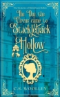 The Day the Circus Came to Stickleback Hollow : A British Victorian Cozy Mystery - Book