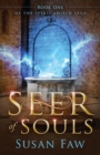 Seer of Souls : (The Spirit Shield Saga Book One) - Book