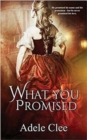 What You Promised - Book