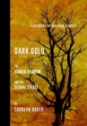Dark Gold : The Human Shadow and the Global Crisis - Book