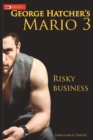 Mario 3 : Risky Business - Book
