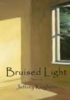 Bruised Light : Short Stories - Book