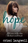 Hope at the Crossroads - Book