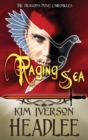 Raging Sea - Book