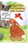 What Were You Thinking, Nibs Rabbit? - Book