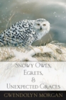 Snowy Owls, Egrets, and Unexpected Graces - Book