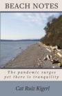 Beach Notes : The pandemic surges yet there is tranquility - Book