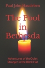 The Pool in Bethesda : Adventures of the Quiet Stranger in the Black Hat - Book