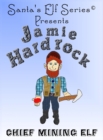 Jamie Hardrock, Chief Mining Elf - Book
