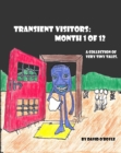Transient Visitors : Month 1 of 12, a Collection of 31 very tiny Tales - eBook