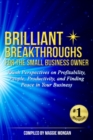 Brilliant Breakthroughs for the Small Business Owner : Fresh Perspectives on Profitability, People, Productivity, and Finding Peace in Your Business - Book