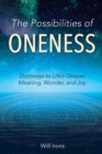 The Possibilities of Oneness : Doorways to Life's Deeper Meaning, Wonder, and Joy - Book