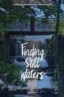 Finding Still Waters : The Art of Conscious Recovery - eBook