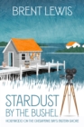 Stardust by the Bushel : Hollywood on the Chesapeake Bay's Eastern Shore - eBook