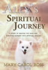 Ally's Spiritual Journey : A Story of Beating the Odds and Surviving Surgery with Spiritual Healing - Book