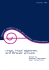 Rings, Hopf Algebras, and Brauer Groups - eBook