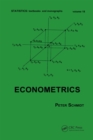 Econometrics - eBook