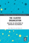 The Cluster Organization : Analyzing the Development of Cooperative Relationships - eBook
