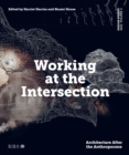 Design Studio Vol. 4: Working at the Intersection : Architecture After the Anthropocene - eBook