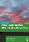 Complexity Theory and the Social Sciences : The State of the Art - eBook