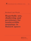 Hyperbolic Sets, Shadowing and Persistence for Noninvertible Mappings in Banach Spaces - eBook