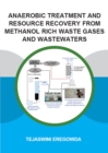 Anaerobic Treatment and Resource Recovery from Methanol Rich Waste Gases and Wastewaters - eBook